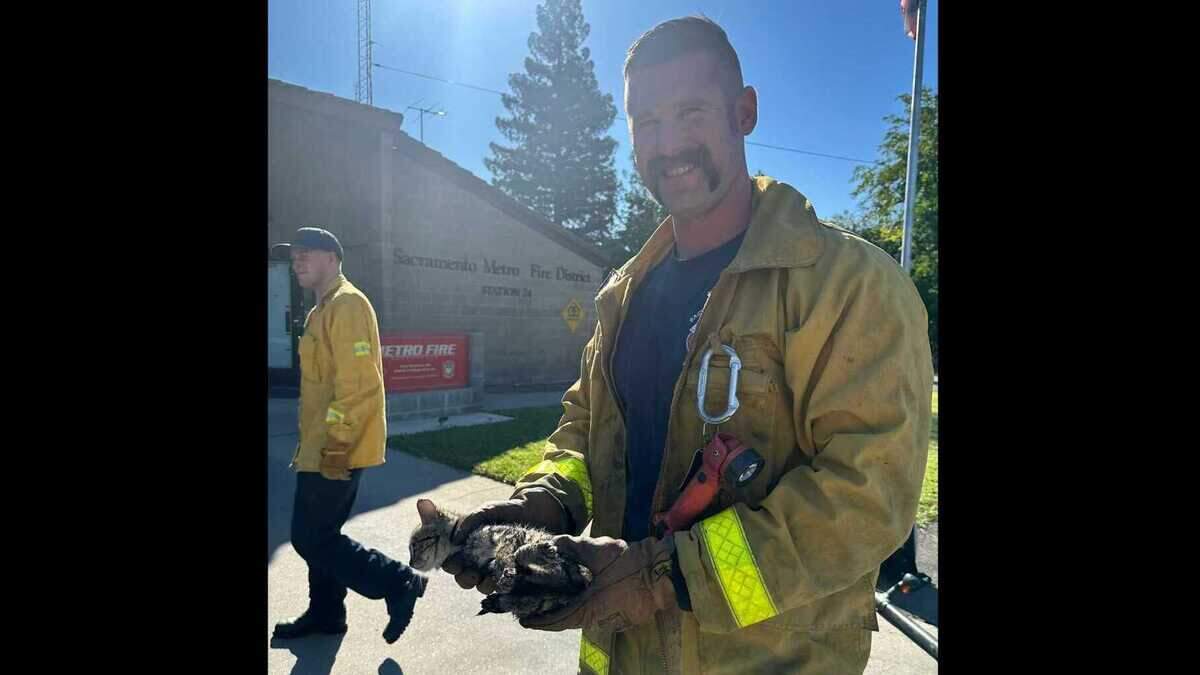 A firefighter with Sacramento Metropolitan Fire District’s Station 24 near American River College holds a kitten who was rescued from the undercarriage of a vehicle twice on Saturday, Oct. 7, 2023.