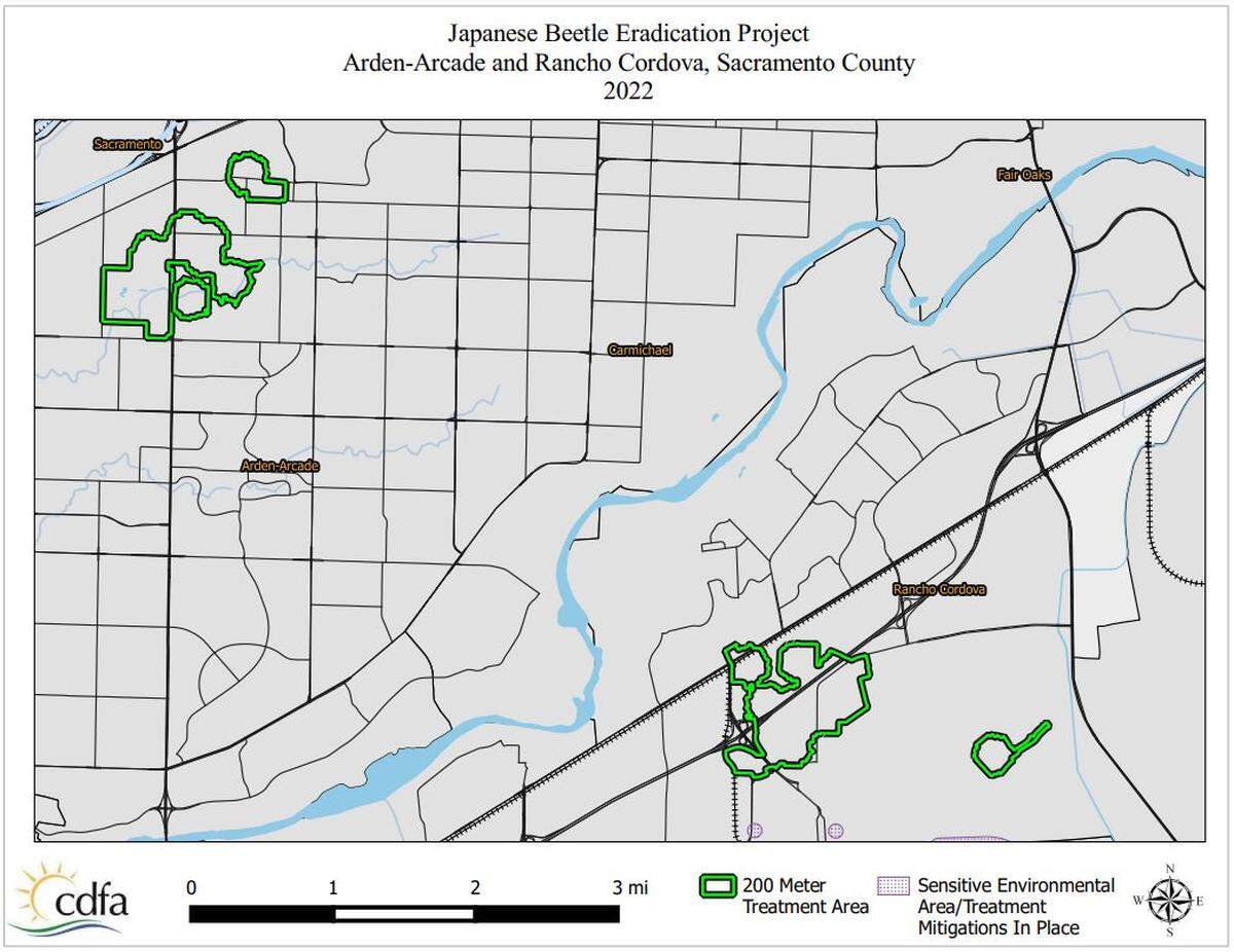 Treatment areas in Sacramento County where invasive Japanese Beetles were recently found.