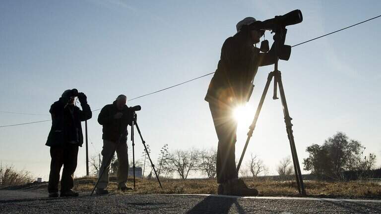 Sacramento’s Audubon Society changes name to Bird Alliance, joining national trend