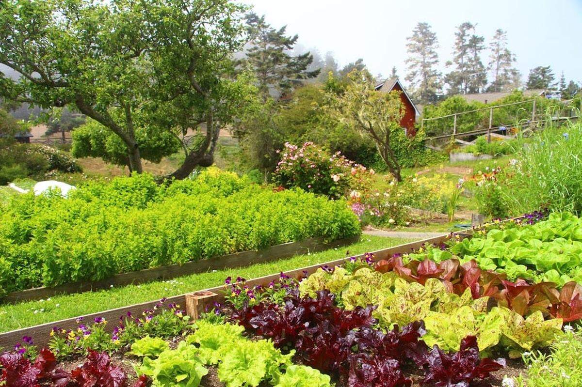 The lush gardens at Stanford Inn by the Sea.