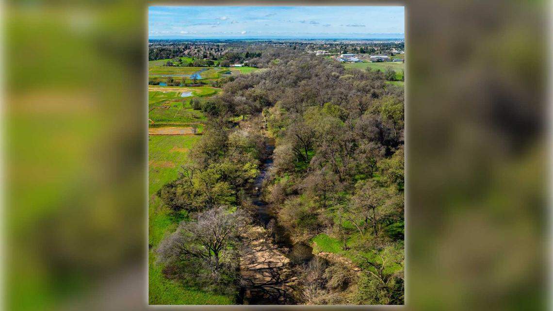 A 27-acre stretch of land along the Dry Creek corridor will be permanently protected after the Placer County Conservation Program recorded a conservation easement on the property.