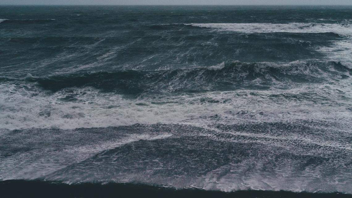 A man died at a popular California beach after witnesses rushed to save him but were too late, police said.