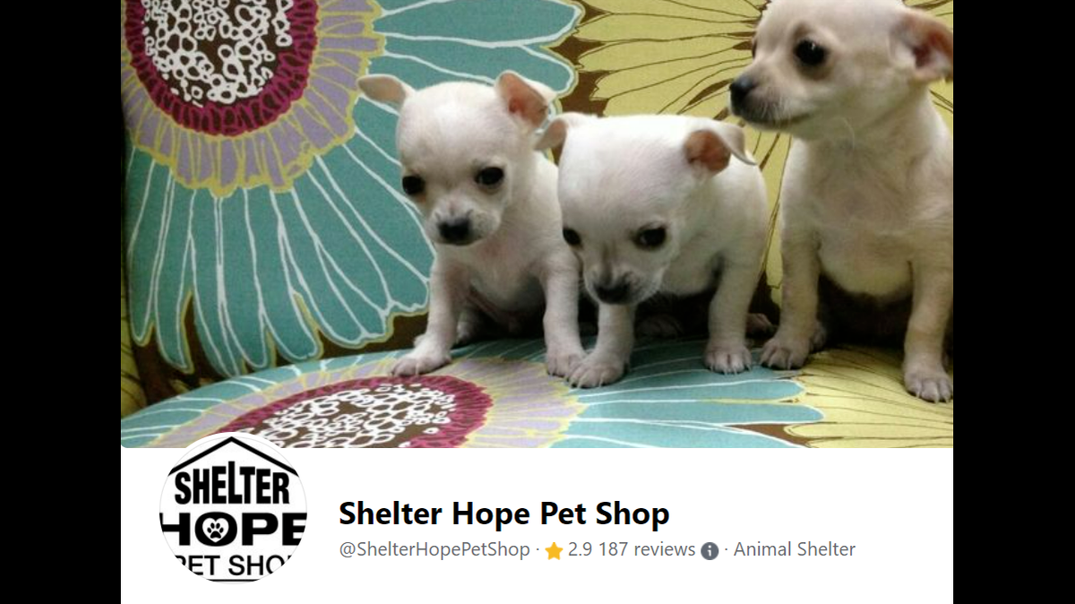 Screenshot of Shelter Hope Pet Shop’s Facebook page.