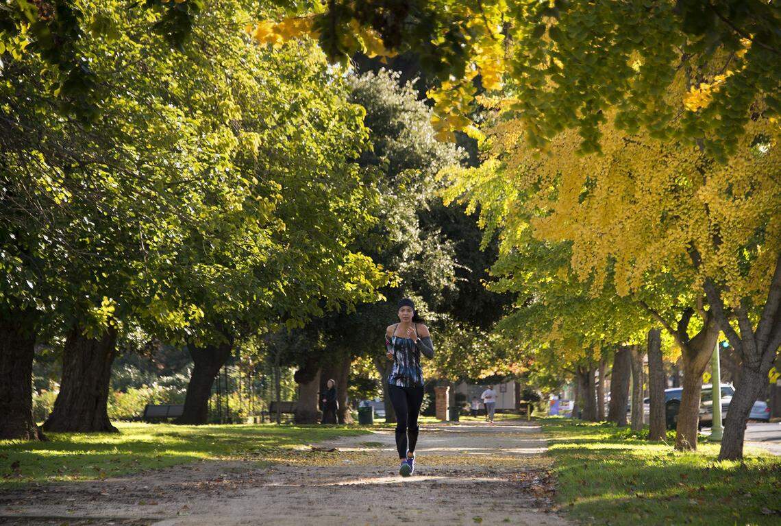 Falls colors produce a dramatic backdrop as a runner heads down a path at McKinley Park in Sacramento on Wednesday, Nov. 16, 2016.