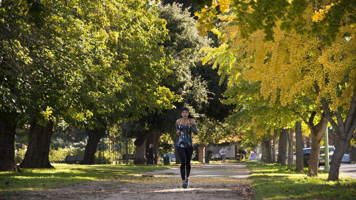 Falls colors produce a dramatic backdrop as a runner heads down a path at McKinley Park in Sacramento on Wednesday, Nov. 16, 2016.