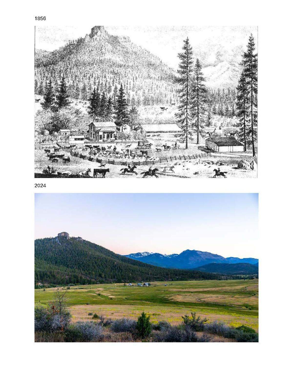 AP Ranch was established in 1856 by Alexander Parker and acquired by the Newton family in 1961. The ranch is for sale .