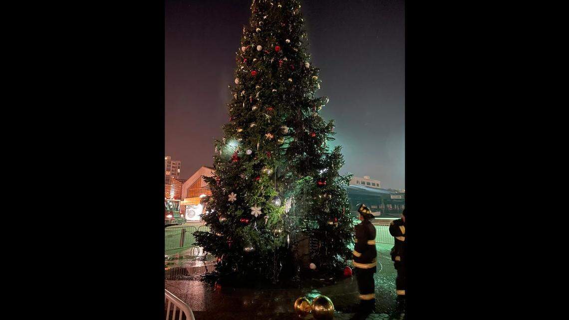 The fire scorched the 52-foot tree, fire officials said.