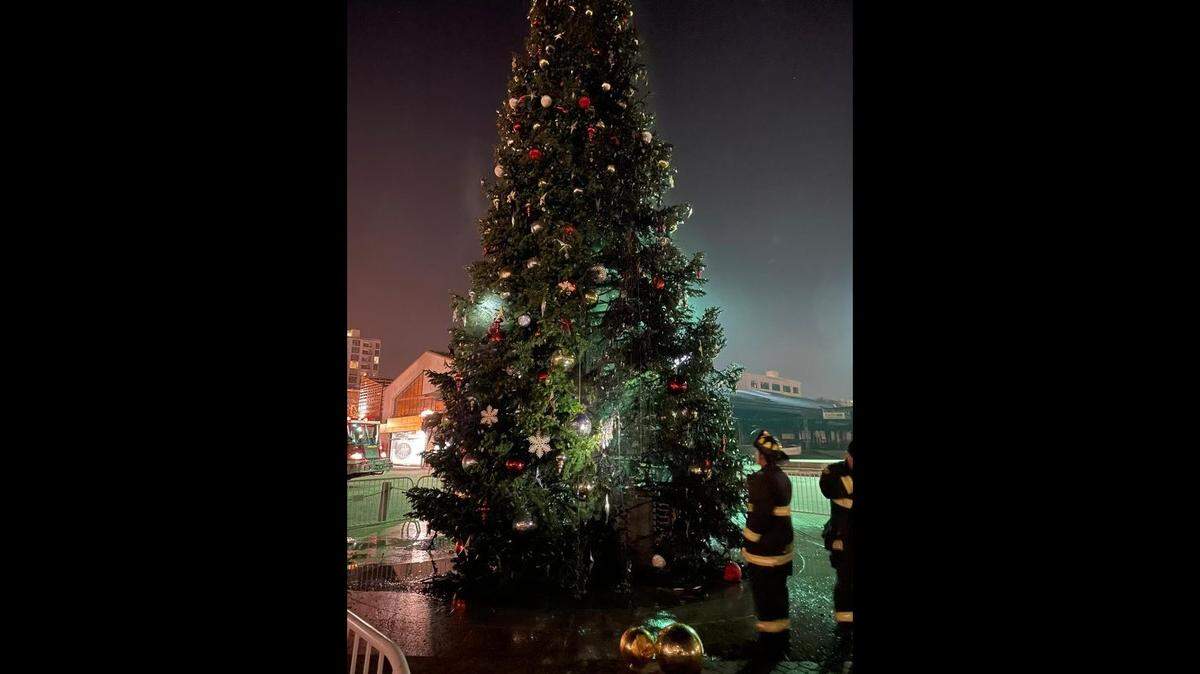The fire scorched the 52-foot tree, fire officials said.