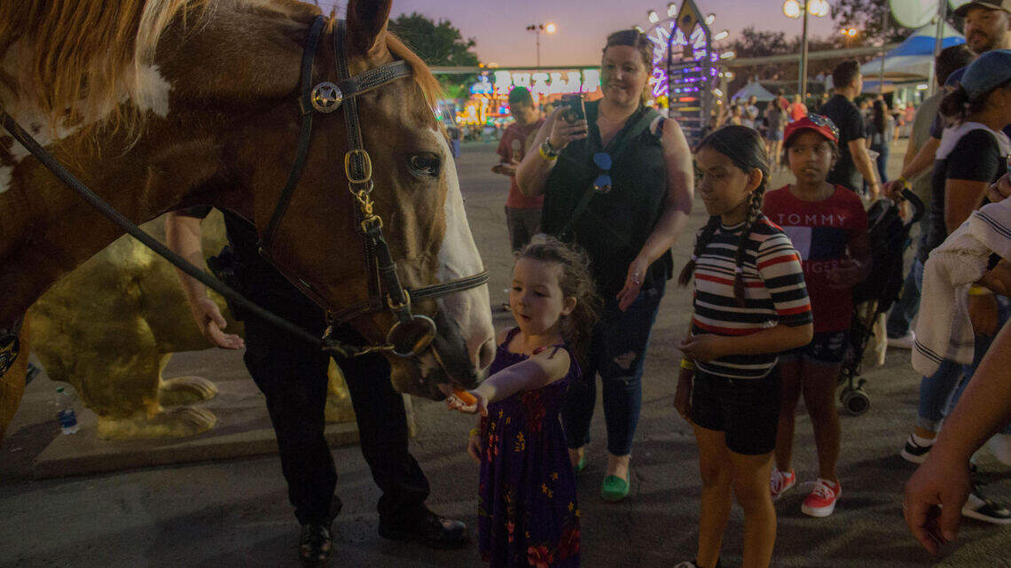 The State Fair has a history of violence, and it could be hurting attendance at Cal Expo