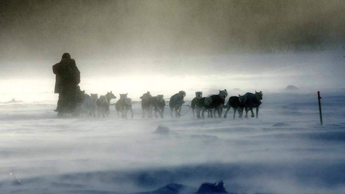 A sled dog team croses the Yukon River in the 2006 Iditarod Trail Sled Dog Race. A snowmobiler died Friday, April 29, after falling through the ice while crossing the frozen river.