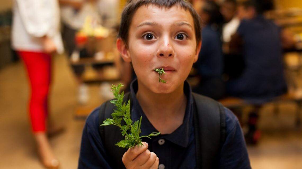 Food Literacy Center student Matthew Castaneda tastes carrot tops for the first time. The California Association of Nonprofits recently recognized the center as one of the state's top nonprofits.