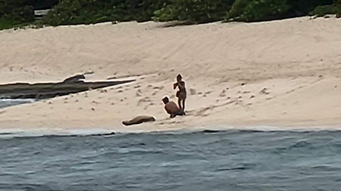 A couple with a loose dog was spotted getting too close to an endangered Hawaiian monk seal to take photos alongside it, Hawaii officials said.