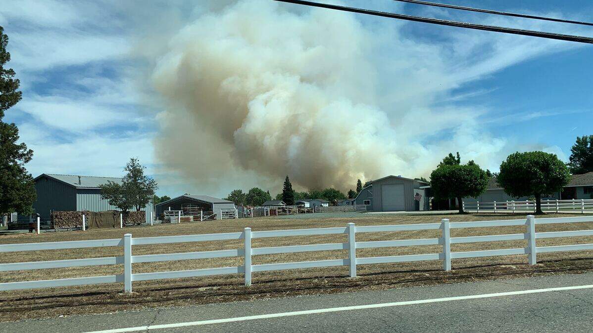 A grass fire whipped up by winds burns in Wilton on Sunday afternoon.