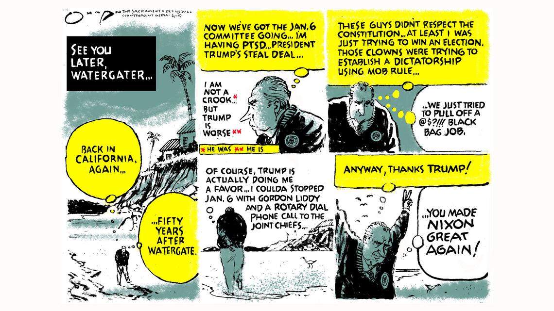 Jack Ohman: Dicktatorship ...