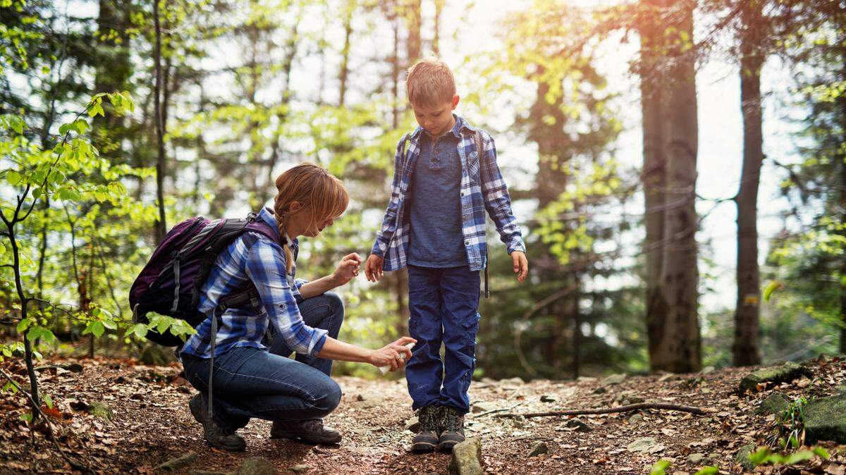 Here are the best safety tips if you plan to explore Northern California trails this spring. 