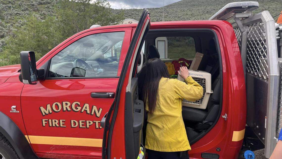 A work crew found eight creatures in the rubble after demolishing an abandoned home June 14 in Morgan, Utah, rescuers said.
