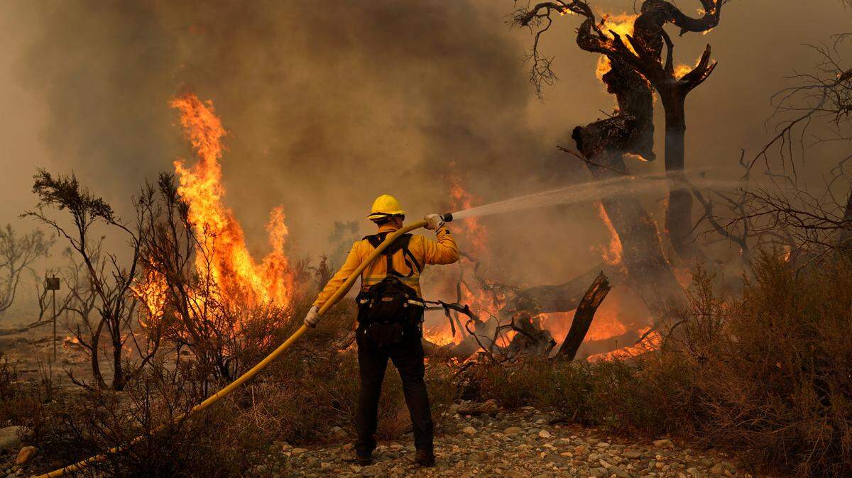 Jesse Vasquez, of the San Bernardino County Fire Department, hoses down hot spots from the Bobcat Fire on Saturday, Sept. 19, 2020, in Valyermo, Calif. (AP Photo/Marcio Jose Sanchez)
