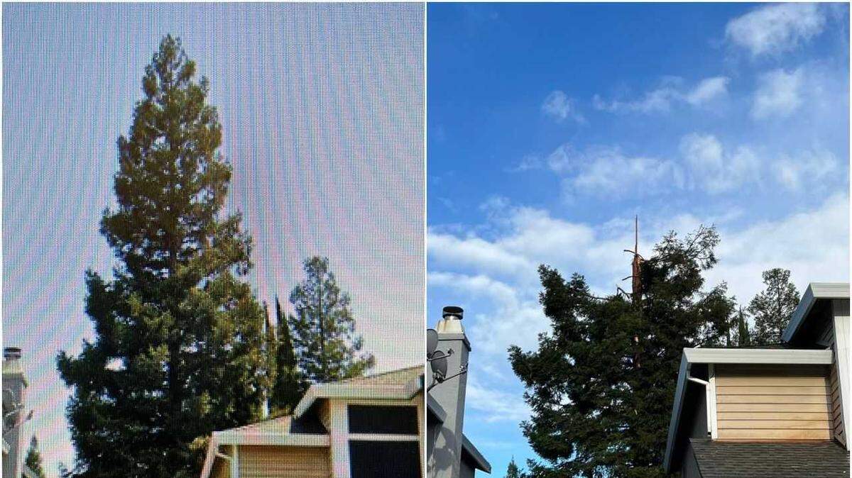 Lightning exploded a redwood tree in Folsom’s Lexington Hills neighborhood during a Sacramento region storm on Tuesday, May 2, 2023. Residents estimate the tree lost roughly 30 feet when the bolt struck.