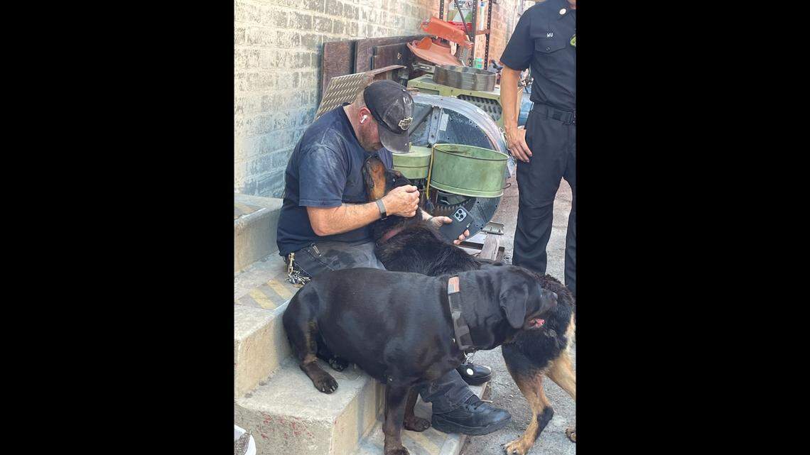 Firefighters helped reunite a dog with its owner after it got stuck in a crack between buildings.