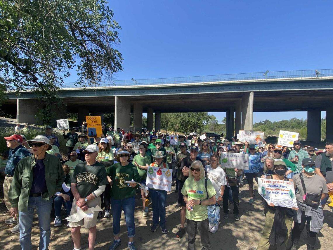 Hundreds of protestors listen Sunday under the Watt Avenue bridge to speakers hoping for alternatives to a plan proposed by the U.S. Army Corps of Engineers. The plan seeks to implement erosion controls along the American River in part by razing towering trees.