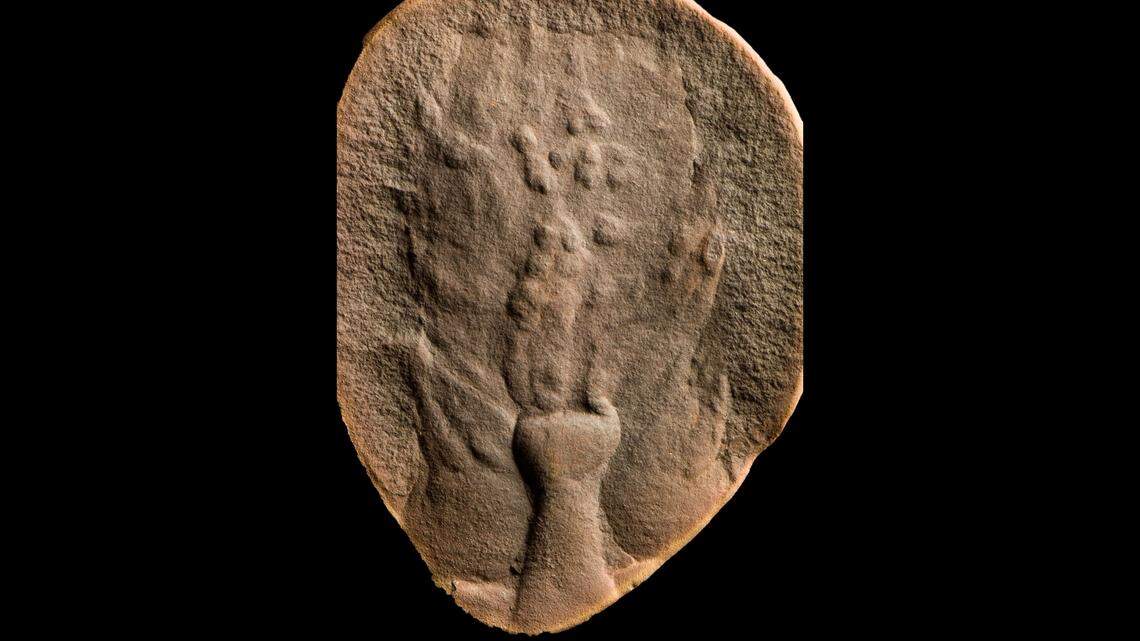 The fossils “have been hiding in the 310-million-year-old Mazon Creek fossil deposit of northern Illinois” for decades, according to the museum.