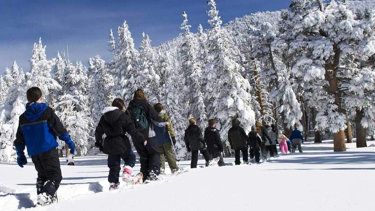 TheÂ U.S. Forest Service’s Lake Tahoe Basin Management UnitÂ will be selling Christmas tree permits beginning Nov. 14. Permits will be sold in person on a first-come, first-served basis.
