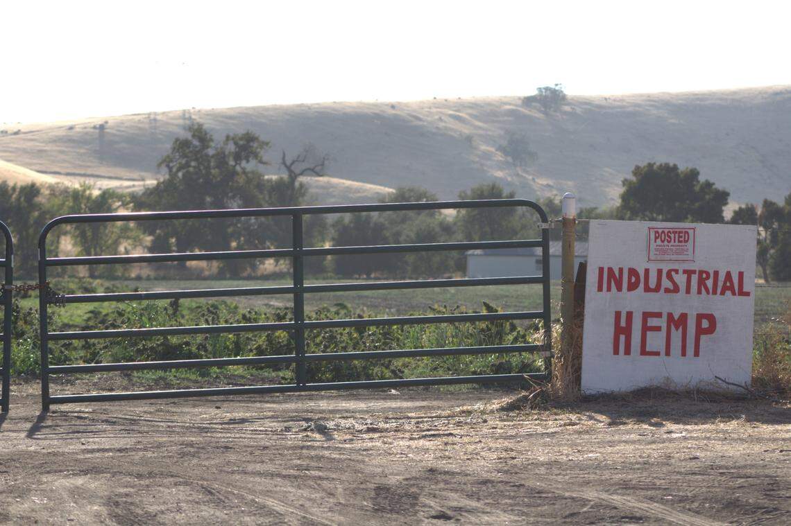 A strong smell coming from a relatively small hemp farm on Pass Road outside the small town of Sutter has drifted into nearby neighborhoods in recent weeks. The smell has caused issues for some residents who fear damage to their property values and quality of life.
