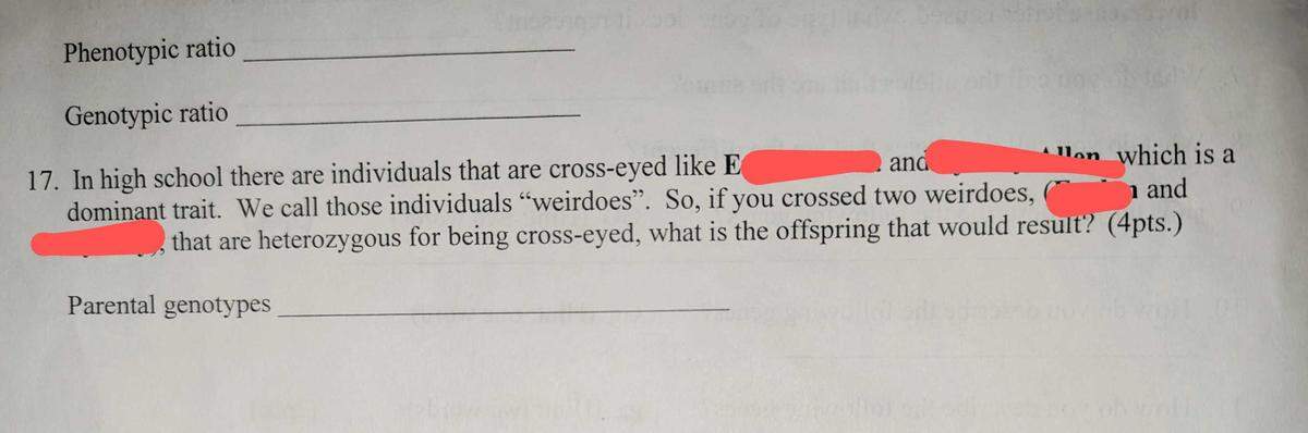 This test question appeared on a Luther Burbank High School biology final in June 2024. Student names were obscured by the sources who provided the images to the Sacramento Bee. The question reads: “In high school, there are individuals who are cross-eyed like (student name) and John, which is a dominant trait. We call those individuals “weirdoes”. So, if you crossed two weirdoes (student name and John), that are heterozygous for being cross-eyed, what is the offspring that would result?”