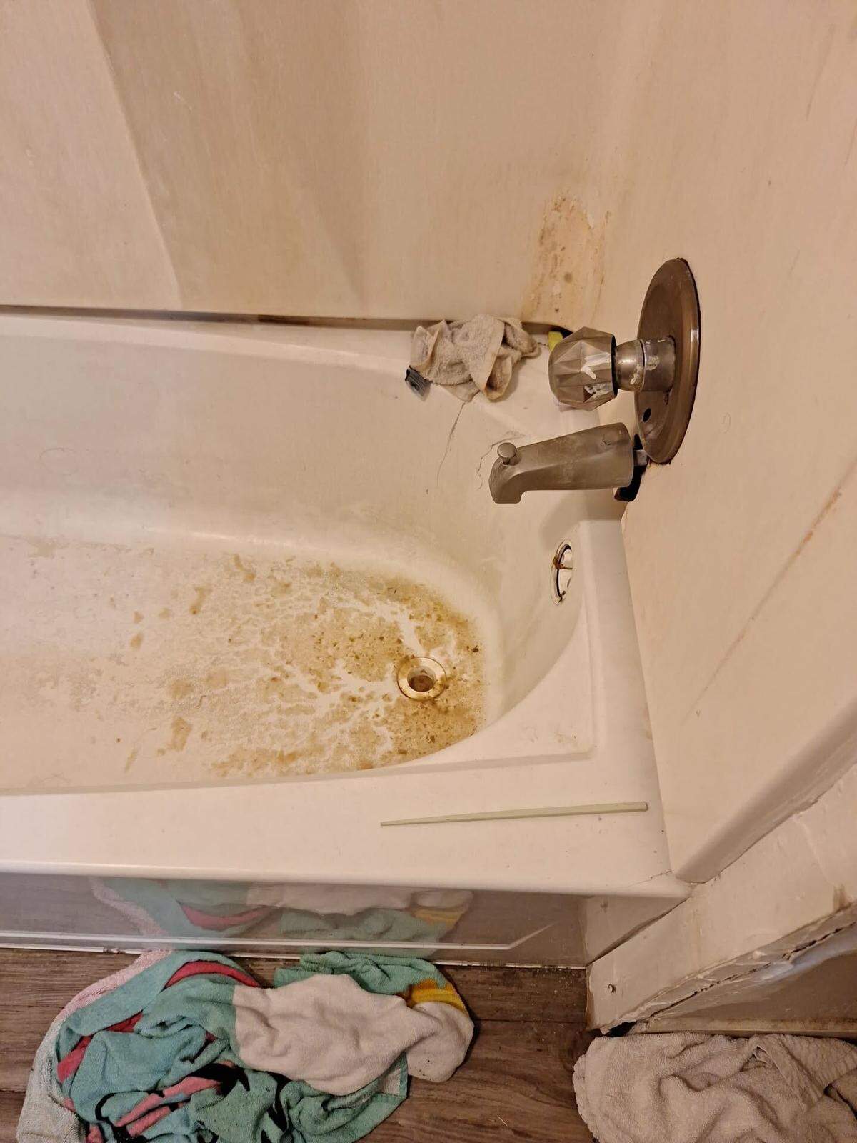 Chellie Wilson says her apartment at Sumner Estates suffered sewage backups, mold, and other issues.