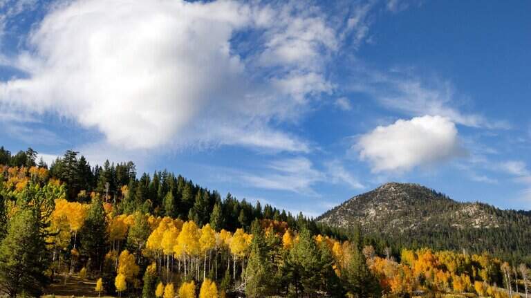 5 ways to enjoy Lake Tahoe in autumn: Peep fall leaves, climb a ski mountain, more