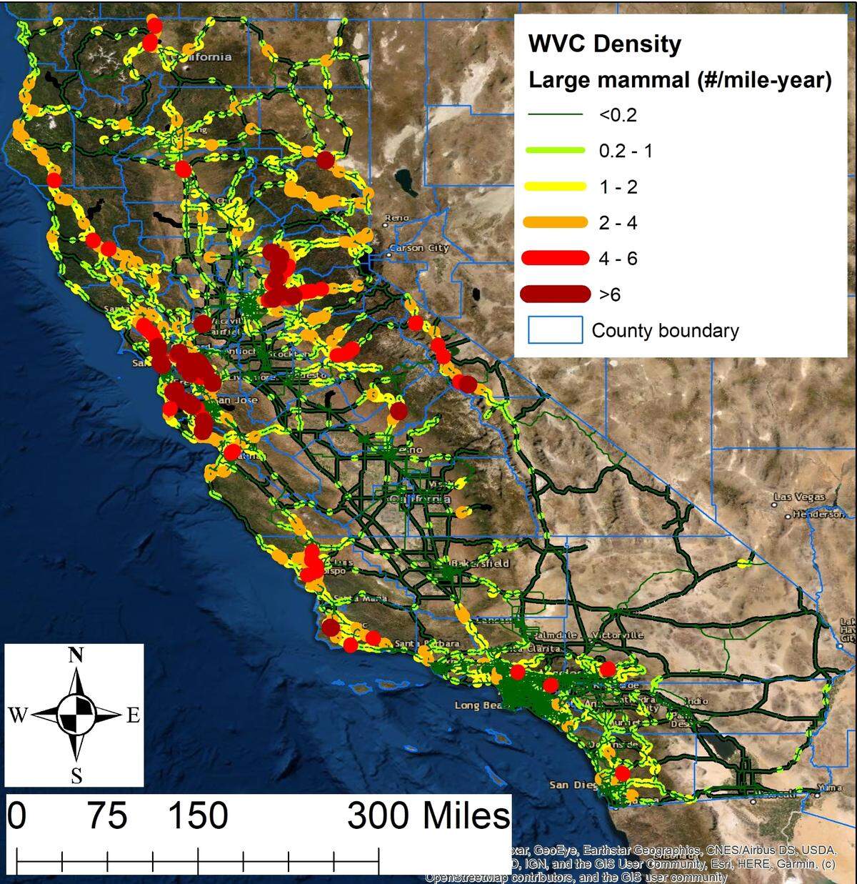 These clusters are partially indicated by higher densities, but are more accurately highlighted using statistical tests. The Road Ecology Center used the statistical test Getis-Ord and the index value Gi* to identify one-mile segments where clusters were significantly higher than adjacent segments.