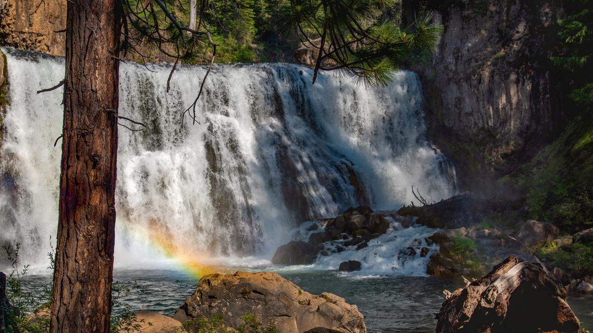 Middle Falls on the McCloud River is a seriously magical place to swim.