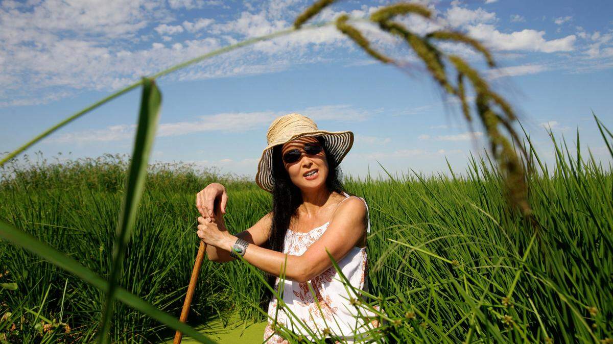 Robin Koda of Koda Farms stands in the middle of a field of growing rice in 2008.