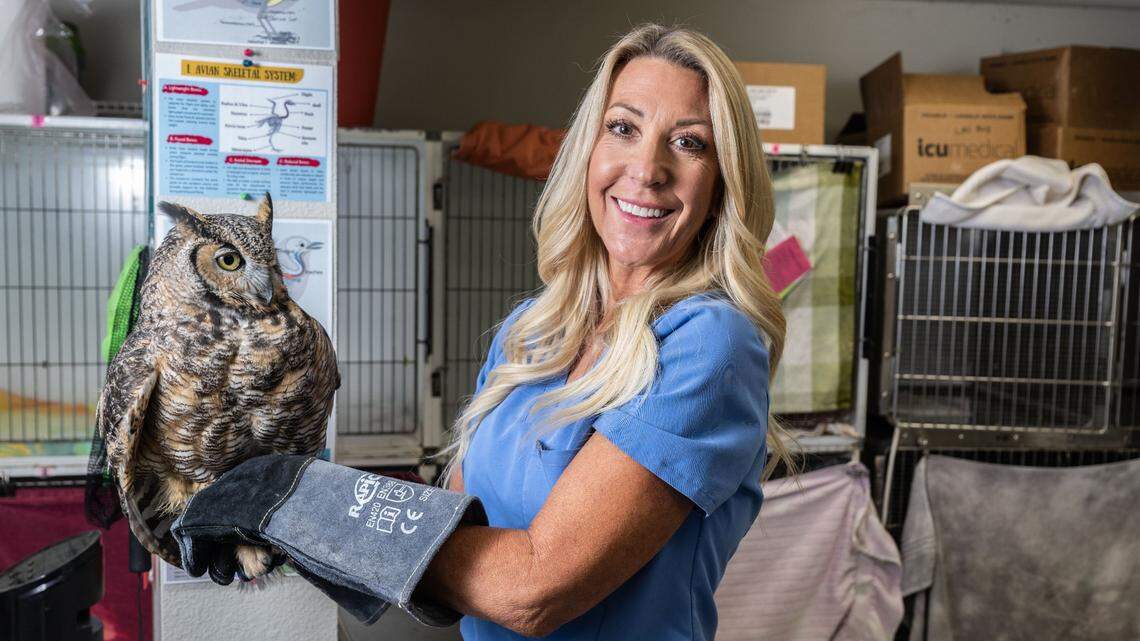 Sacramento wildlife group mends animals so they can have  ‘second chance at life’