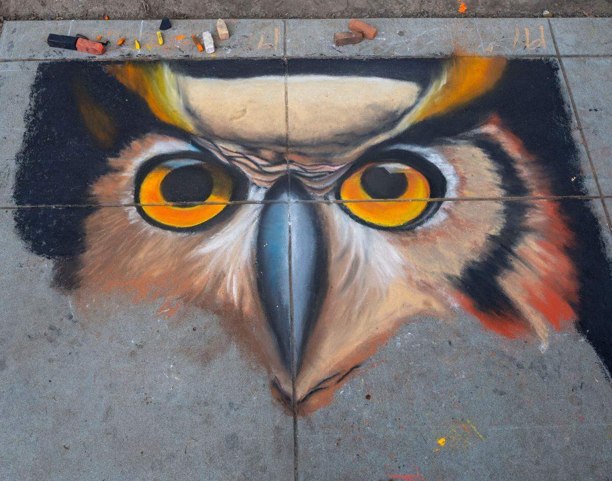A mural of an owl by artist Irene Toan is worked Sunday at Chalk it Up festival at Fremont Park.