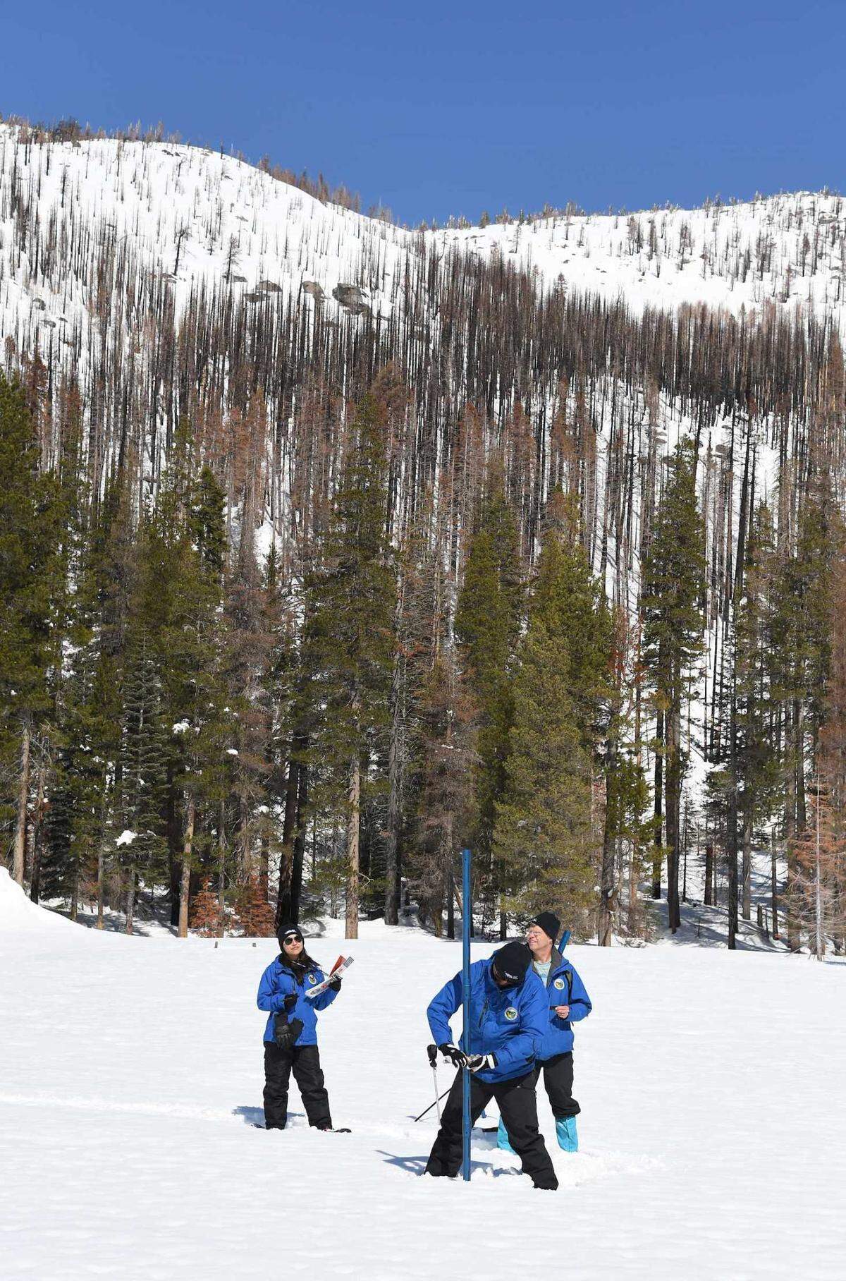 Sean de Guzman, center, manager of the state’s snow surveys, measures the snowpack at Phillips Station in El Dorado County using an aluminum pole to measure the deep snow on Friday. The manual survey revealed a snow-water equivalent of 41.5 inches.