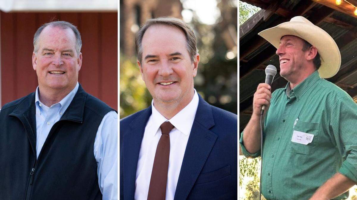 From left, Republicans Jamie Johansson, Andrew Coolidge and Dom Belza are running in California’s Assembly 3rd District primary race to fill an open seat formerly held by Assemblymember James Gallagher, R-Yuba City.