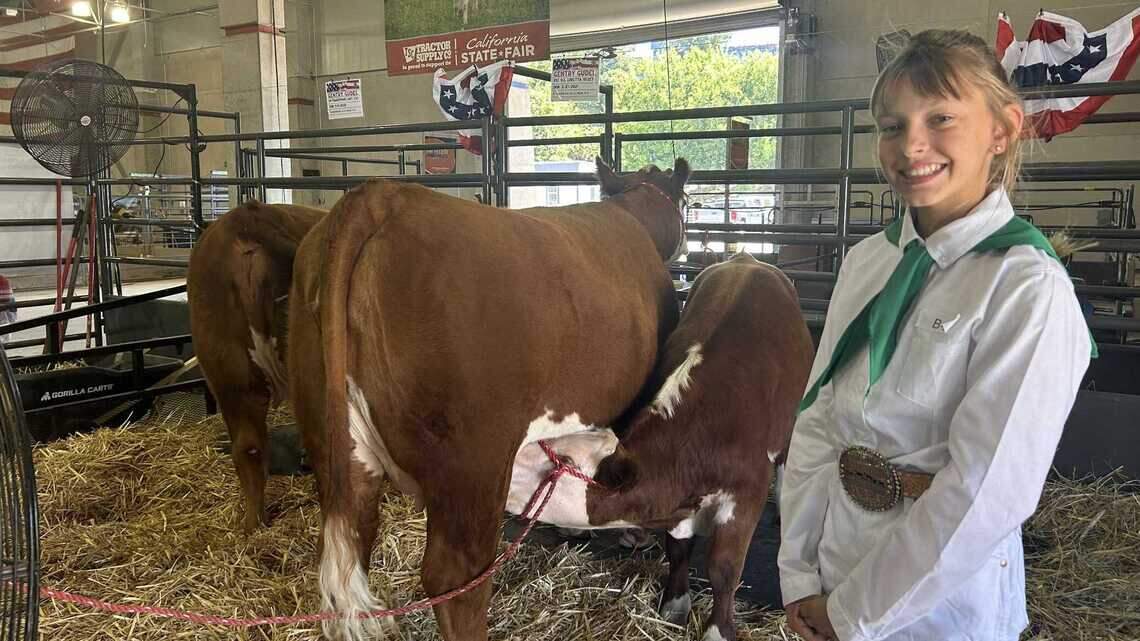How California State Fair’s livestock competitions are training kids to be farmers, ranchers