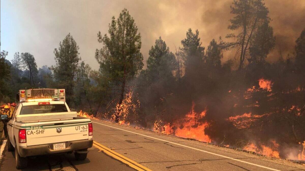A strike team works on the Creek Fire in Shasta County.