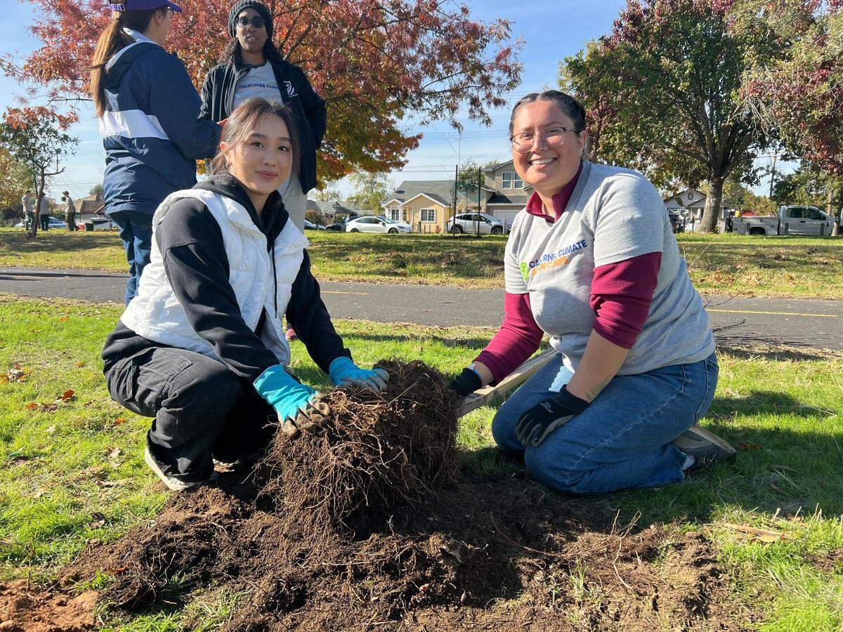 More than 200 volunteers participated in a community climate action event put on by the California Climate Action Corps on Saturday, Nov. 16, where they planted trees in a Del Paso Heights park.