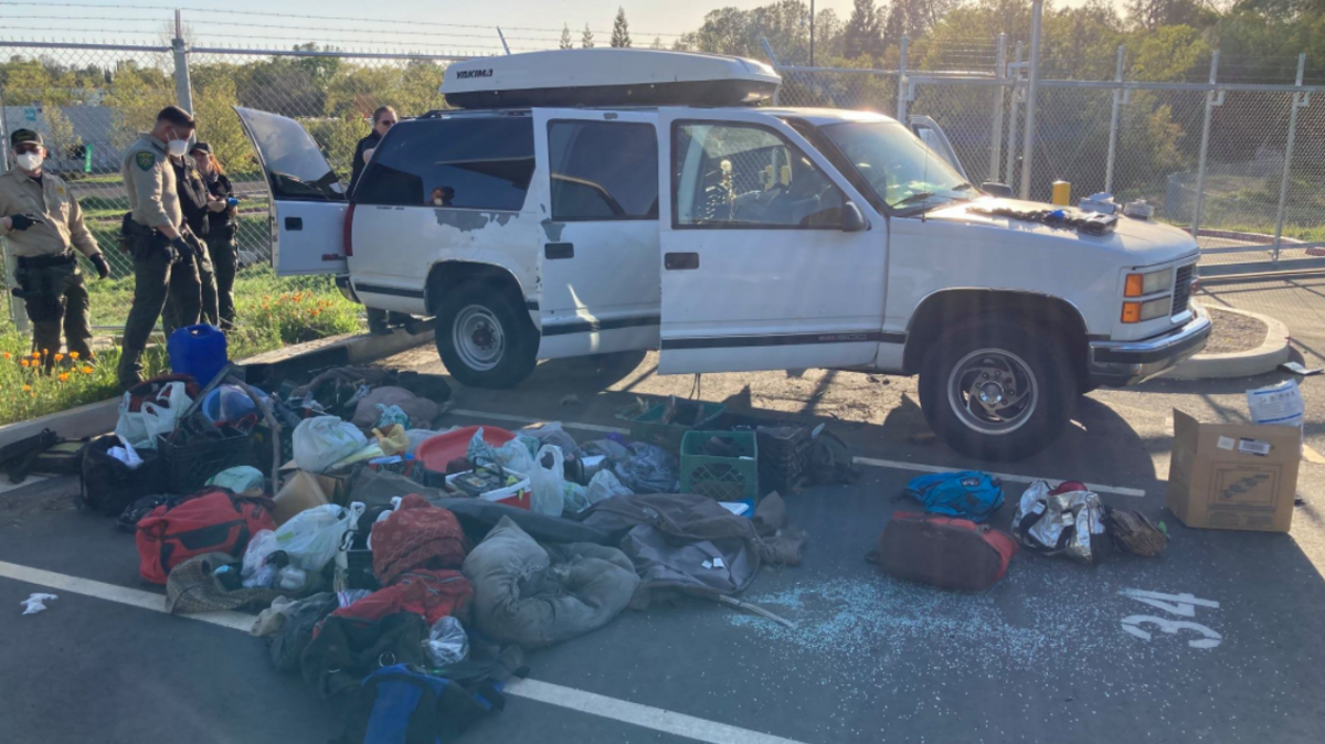 Police say they found 16 dogs, some dead, crammed inside an SUV near Bridal Veil Falls, California.
