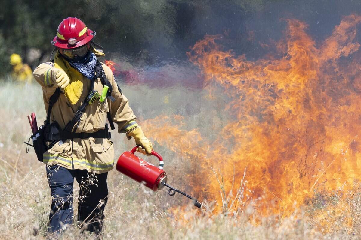 A firefighter uses a torch during a prescribed burn near Dry Creek between 16th and 18th streets in Rio Linda on Tuesday. The burn was a collaborative effort between the Sacramento Metropolitan Fire District, the Sacramento County Regional Parks Department and other fire agencies to remove invasive vegetation and to serve as a training opportunity.