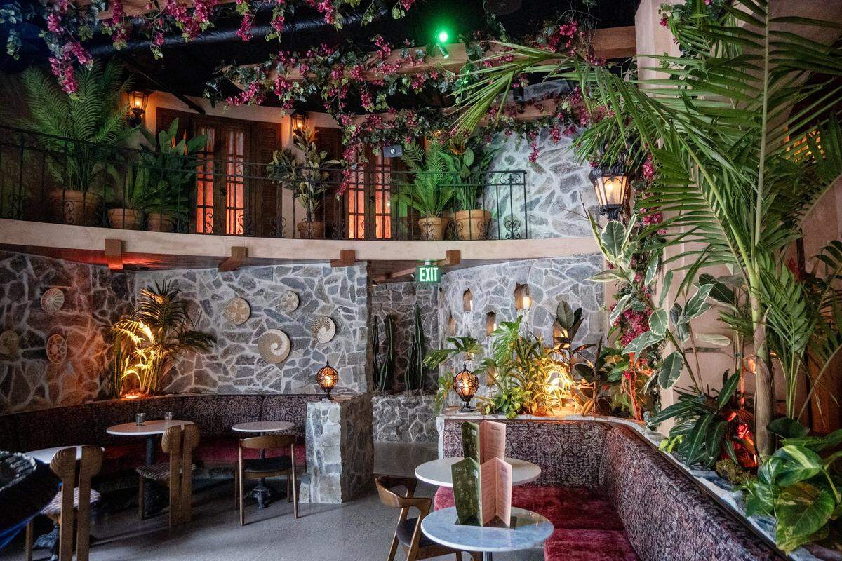 Live plants surround the seating area at Day Tripper in midtown Sacramento on Wednesday, May 27, 2026.