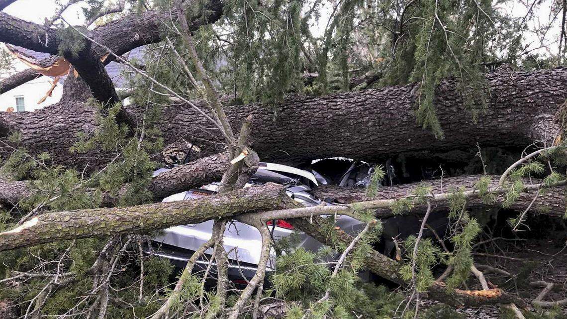 Powerful winds are expected to hit Sacramento County. Here’s when you should stay home