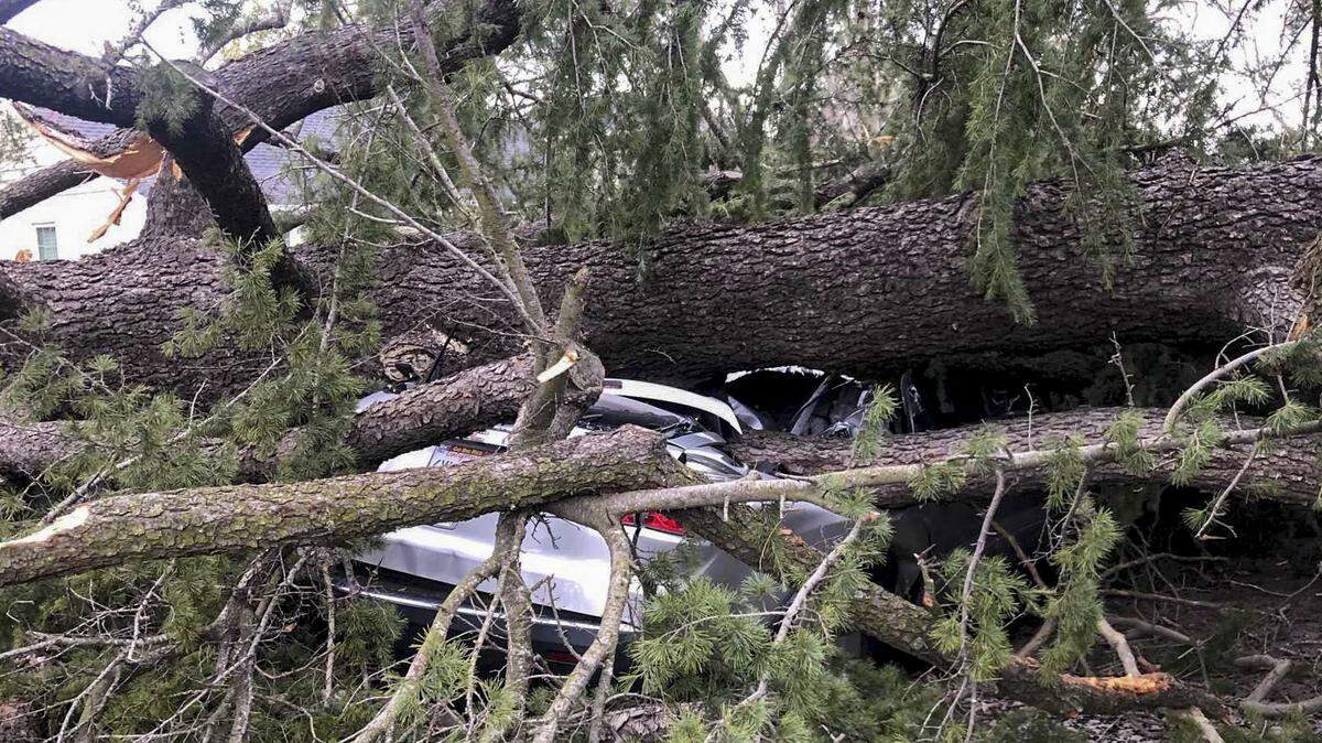 Powerful winds are expected to hit Sacramento County. Here’s when you should stay home