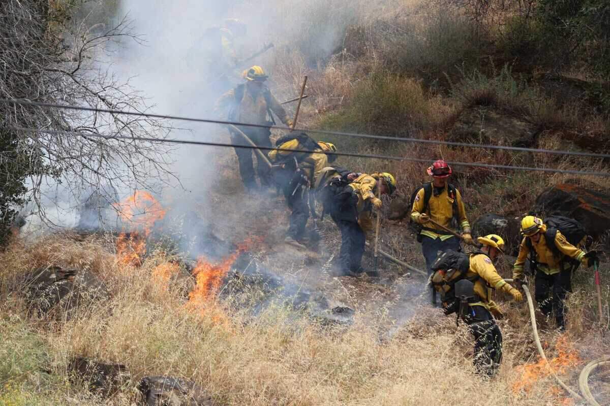 Firefighters work in heavy brush to stamp out flames from the Putah Fire burning near Winters in Yolo County on Monday, June 8, 2026.