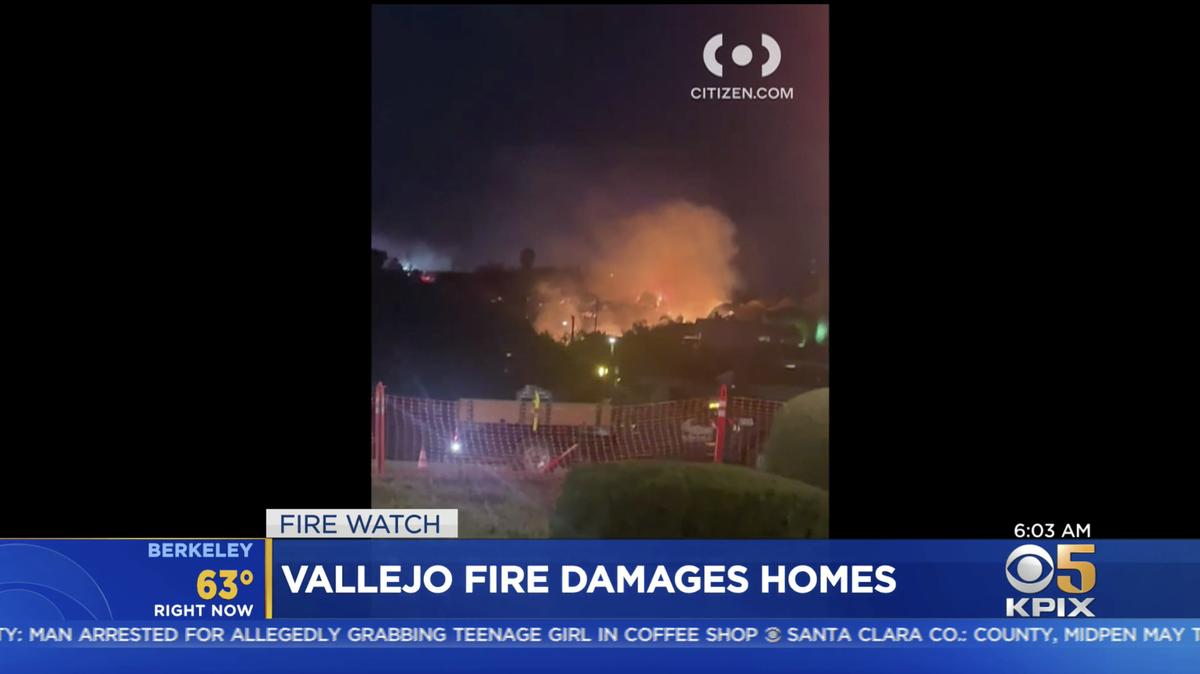 A fire that burned 10 acres in Vallejo, California, damaged at least 8 homes, and injured a firefighter was sparked by fireworks, fire officials said.