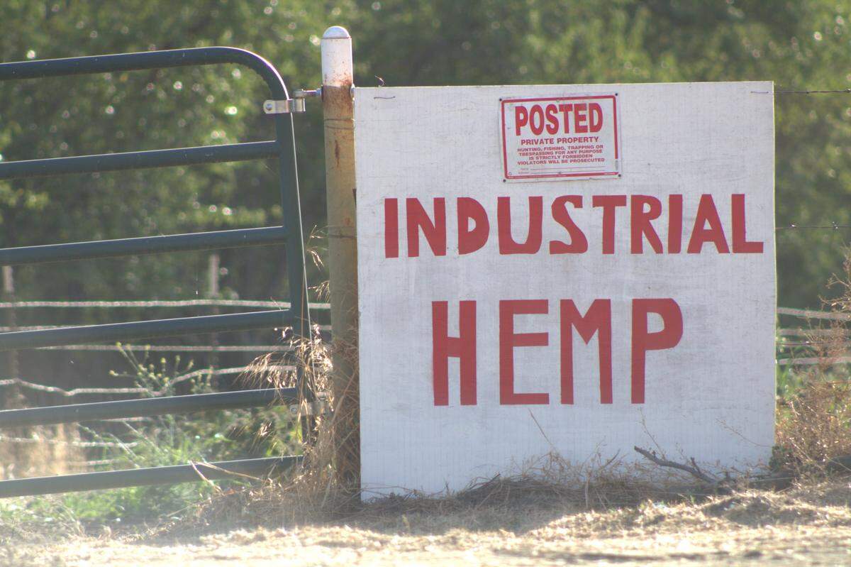 Residents of the small town of Sutter say that a nearby hemp field has created a pungent marijuana odor that has drifted into town in recent weeks. The hemp field meets state and Sutter County requirements but has still caused neighbors frustration. 