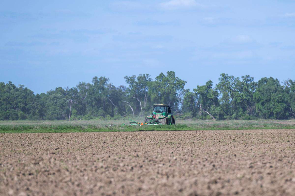 A tractor turns over soil on Tuesday on the more than 700 acres of farmland at the confluence of the Sacramento and Feather rivers near Knights Landing that River Partners, a nonprofit environmental restoration group, plans to restore to wildlife habitat with help from Apple Inc.