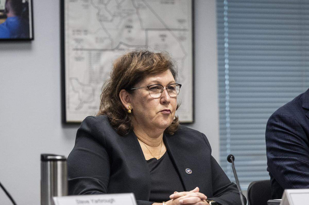 Cal OES Chief Deputy Director of Policy and Administration Lisa Mangat during a board meeting on Wednesday in Sacramento.